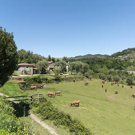 Quinta Do Rapozinho * Cabeceiras de Basto