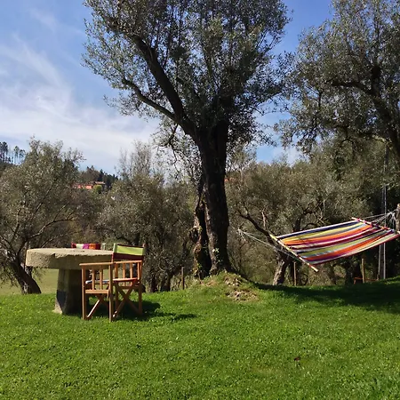 拉帕兹霍群塔农庄 * 卡贝塞拉什德巴什图