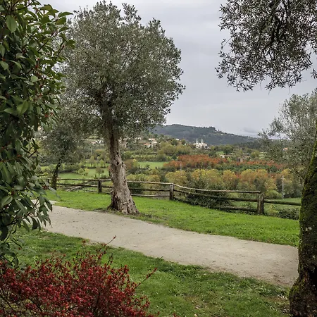 ファームステイ Quinta Do Rapozinho