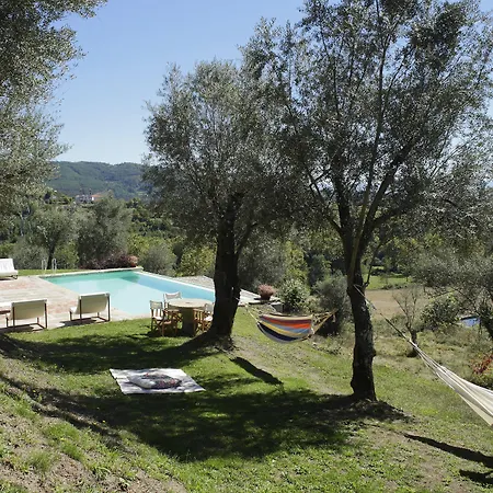 拉帕兹霍群塔农庄 * 卡贝塞拉什德巴什图