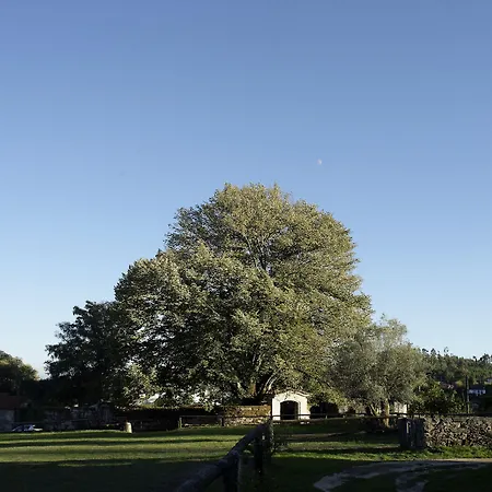 Quinta Do Rapozinho * קאבקסיירס דה באסטו