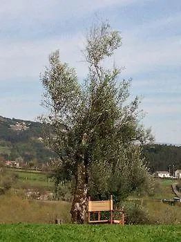 Quinta Do Rapozinho Alojamento de Turismo Rural