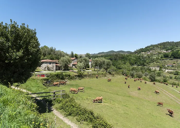 Quinta Do Rapozinho * Cabeceiras de Basto