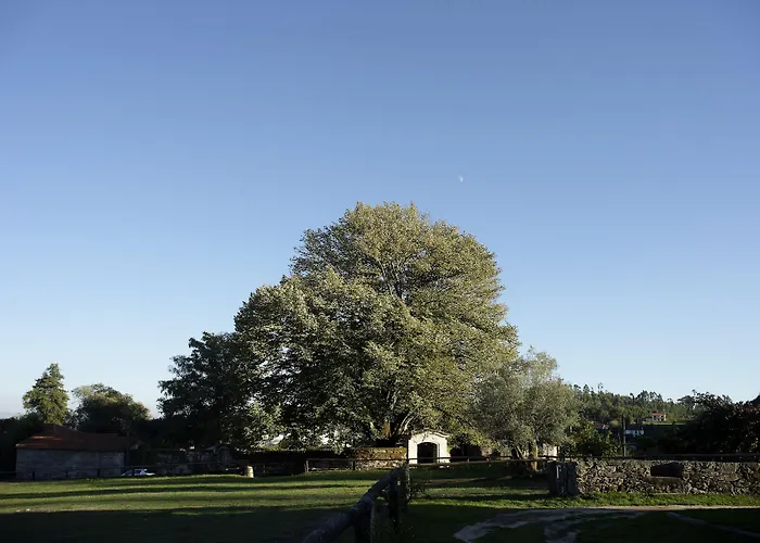 Quinta Do Rapozinho * קאבקסיירס דה באסטו