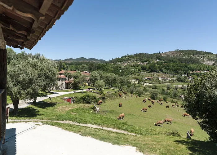 Quinta Do Rapozinho Farma Cabeceiras de Basto